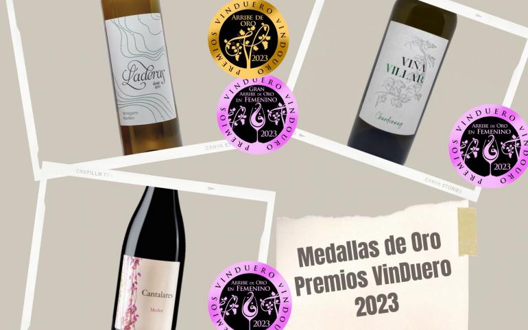 La Bodega El Villar logra 4 medallas de oro en el certamen de vinos VinDuero 2023 más un Gran Oro.